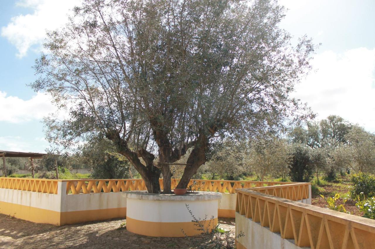 Montinho Do Palanque Villa Viana do Alentejo Dış mekan fotoğraf