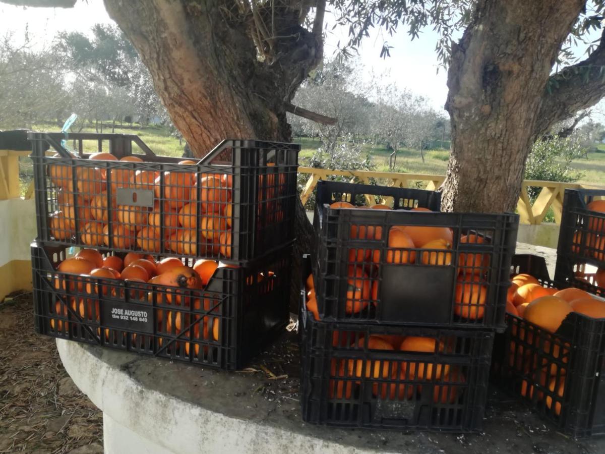 Montinho Do Palanque Villa Viana do Alentejo Dış mekan fotoğraf