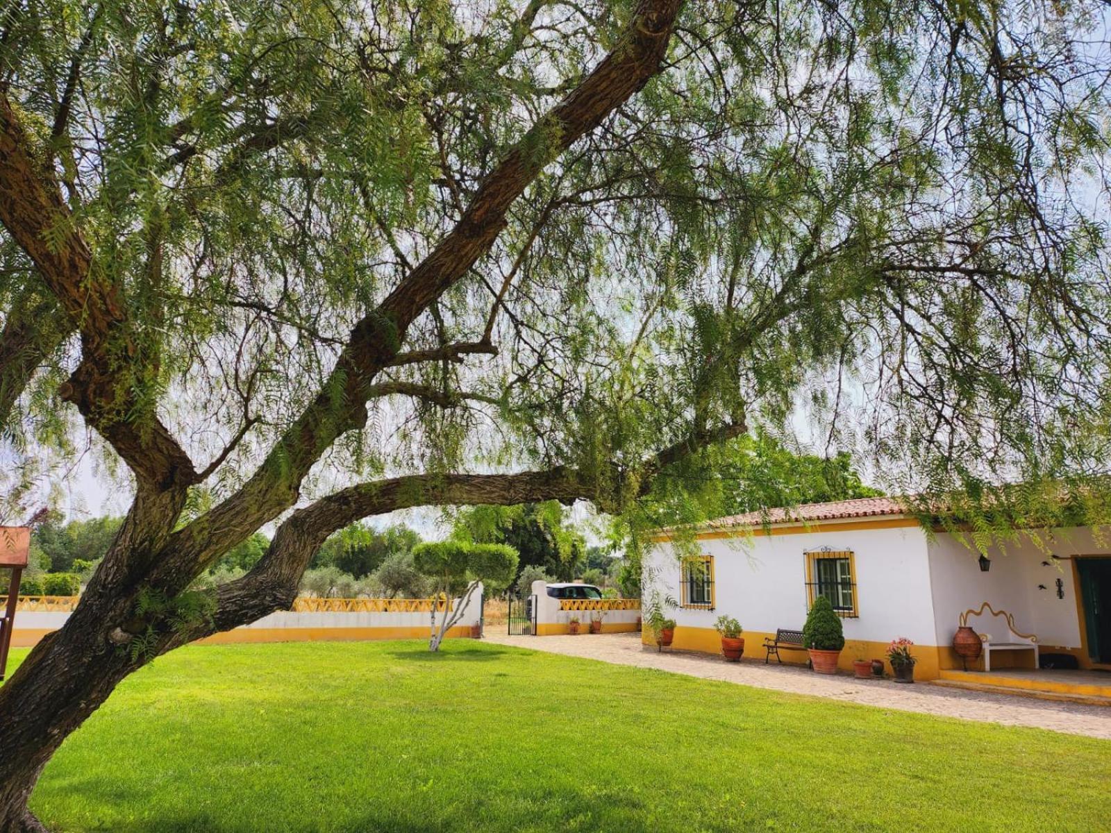 Montinho Do Palanque Villa Viana do Alentejo Dış mekan fotoğraf